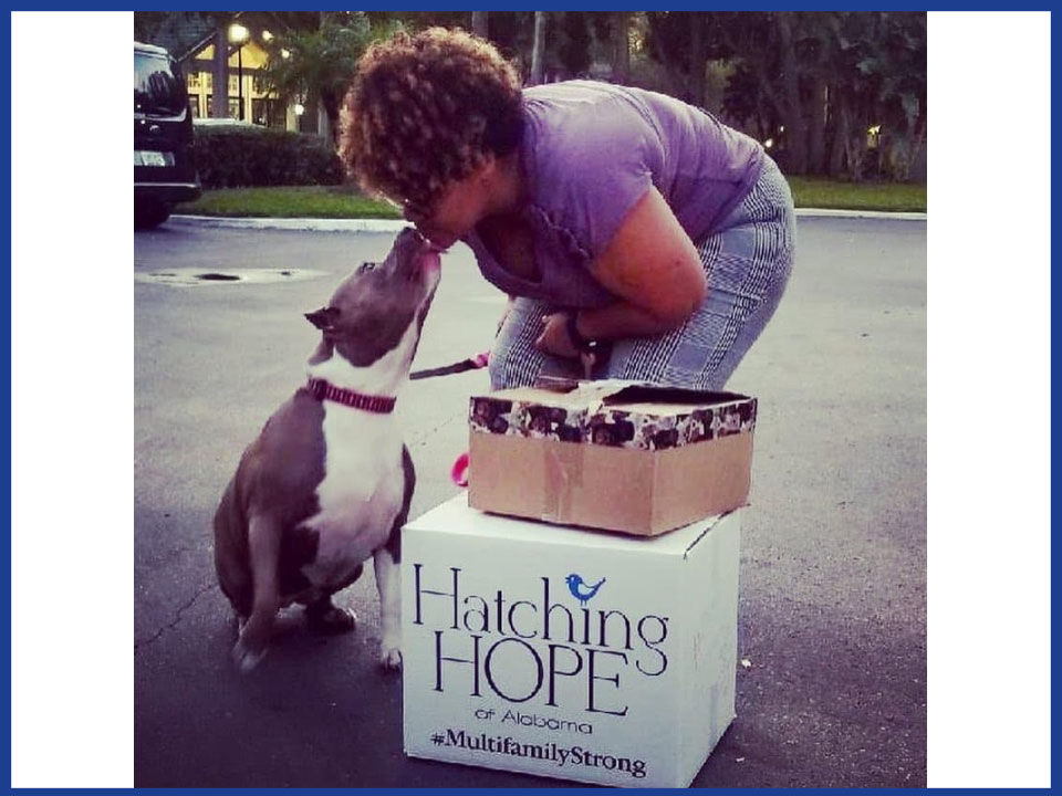 Paws of Hope