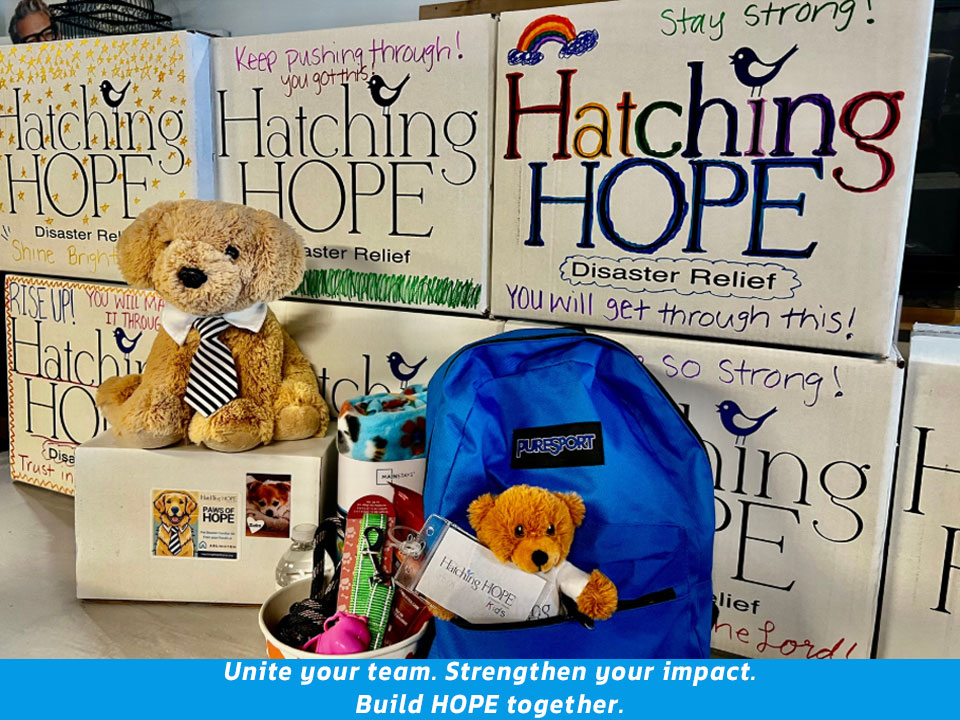 Corporate Team Building